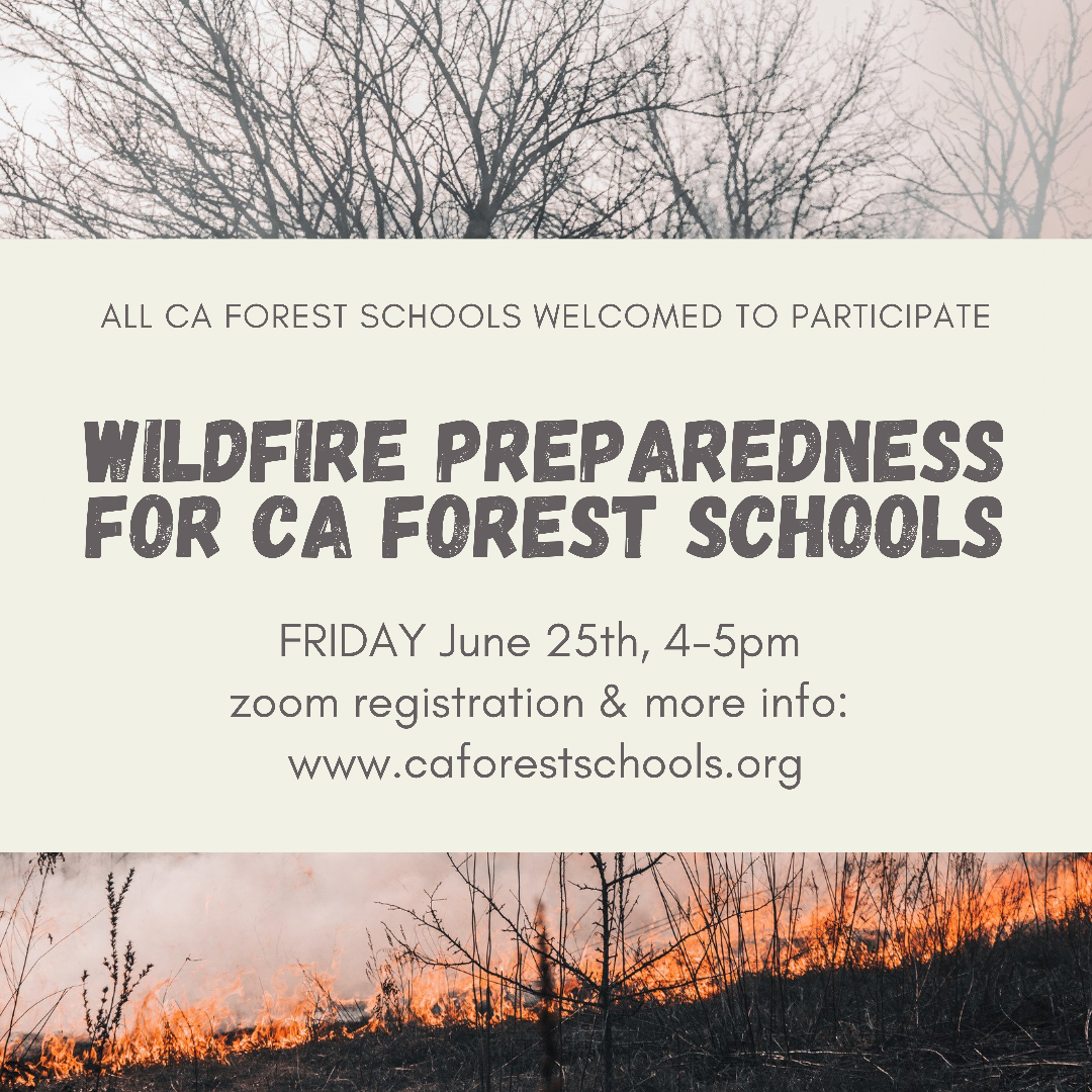 Wildfire Preparedness