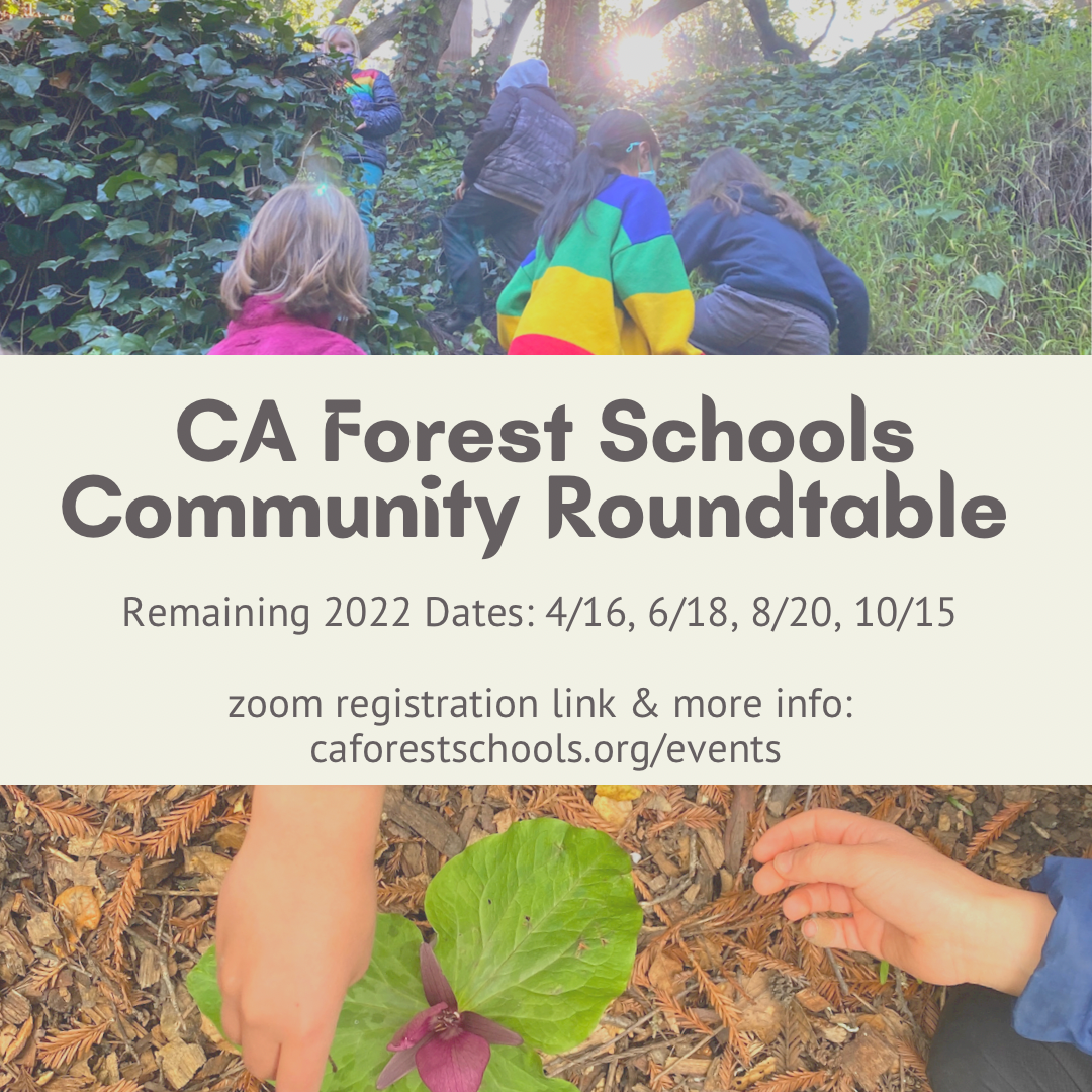 CAFS Community Roundtable - Autumn Session
