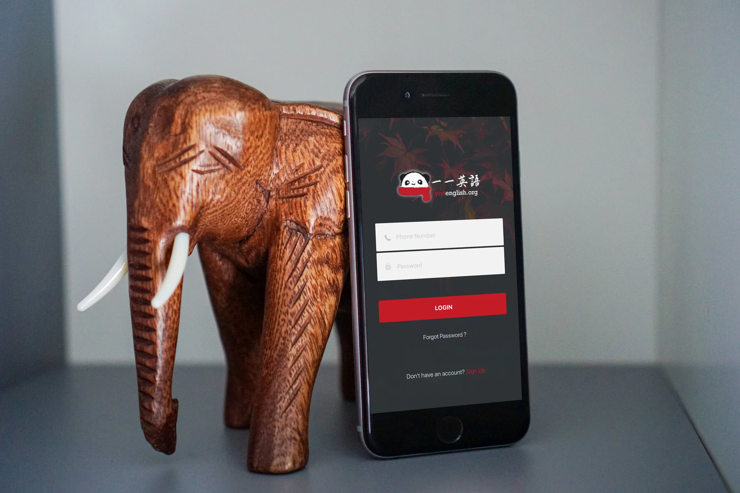 Mobile App1.jpg