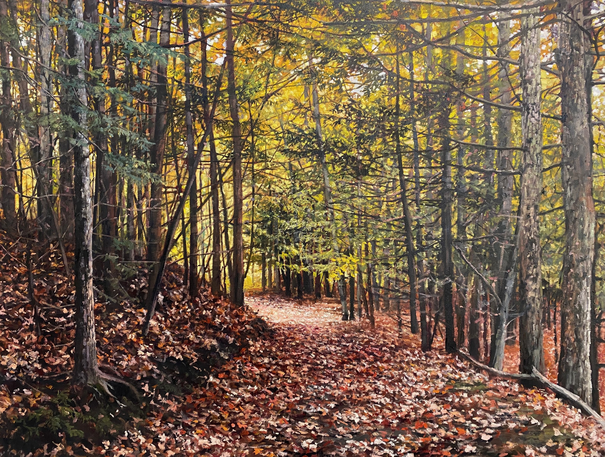 $1800 - In the Forest, 2024, 30" x 40", oil on canvas