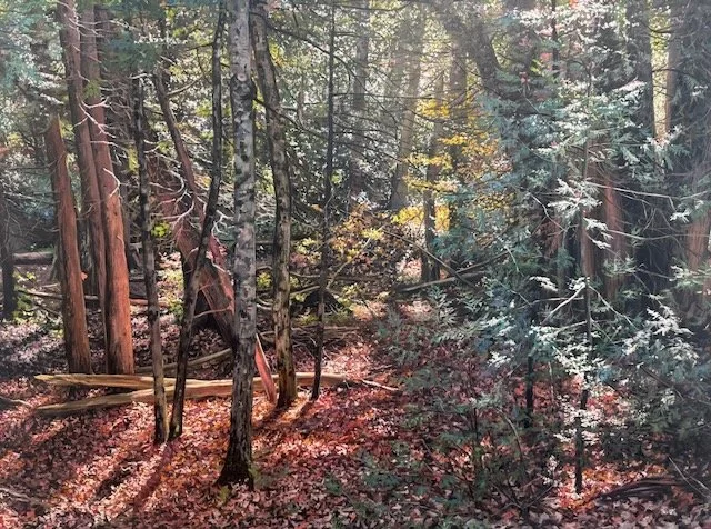 $2600 - Appreciation, 36" x 48" oil on canvas