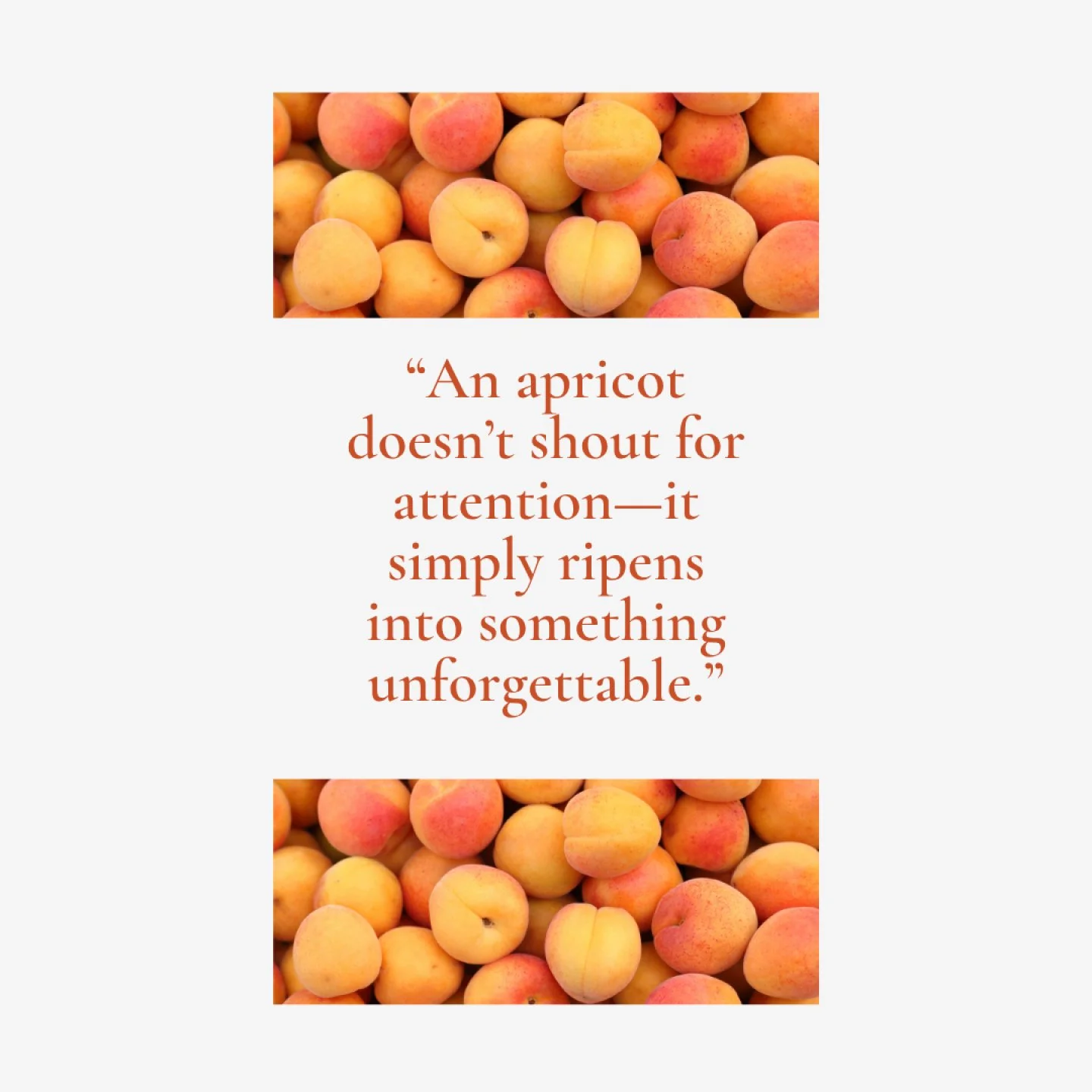 Warning: This jar may cause spontaneous biscuit baking, extra toast consumption, and the irresistible urge to tell everyone, &ldquo;Just try one bite.&rdquo; Apricot season is fleeting&mdash;but the magic doesn&rsquo;t have to be.