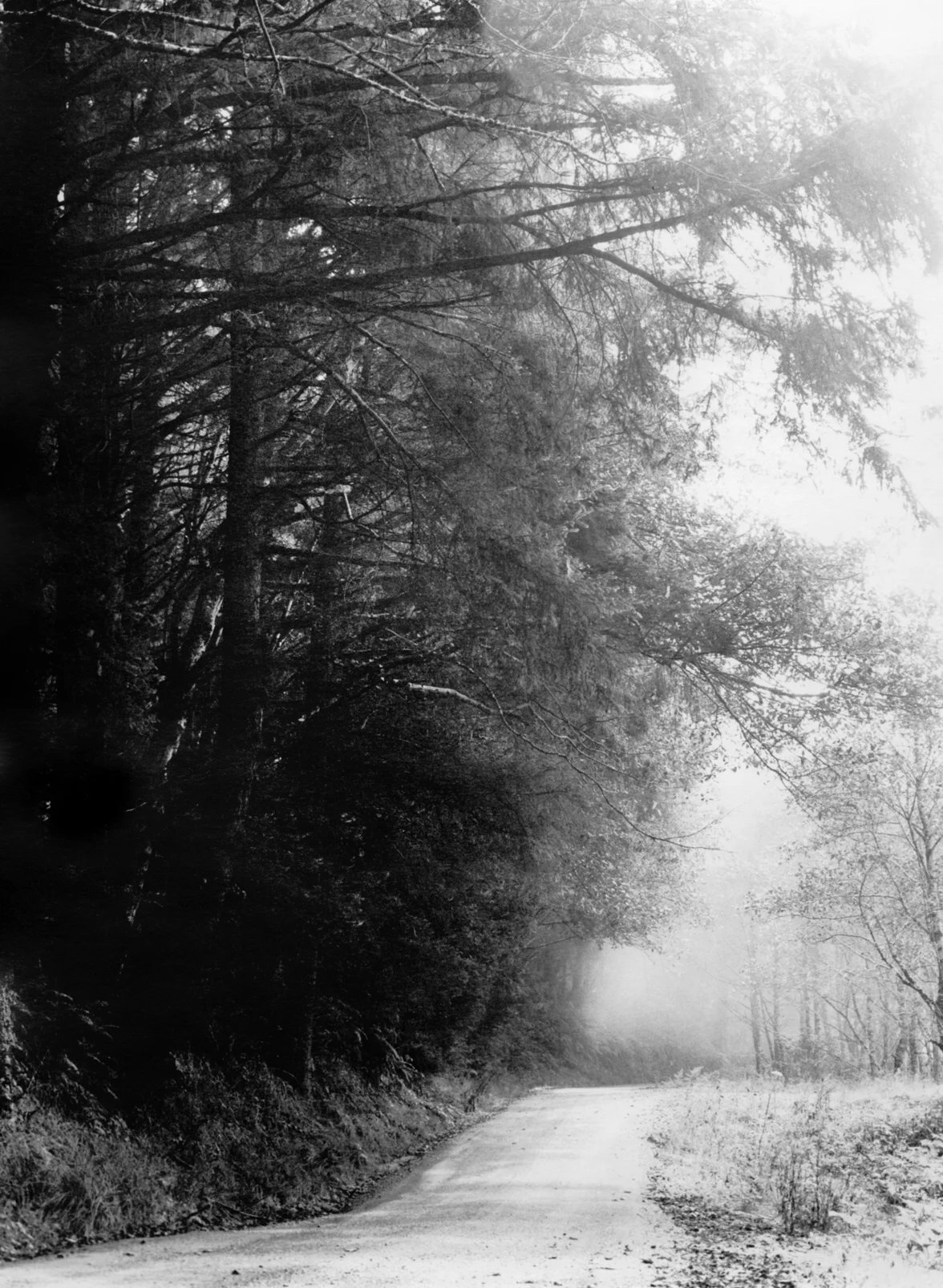 Foggy Coast Road, 2003