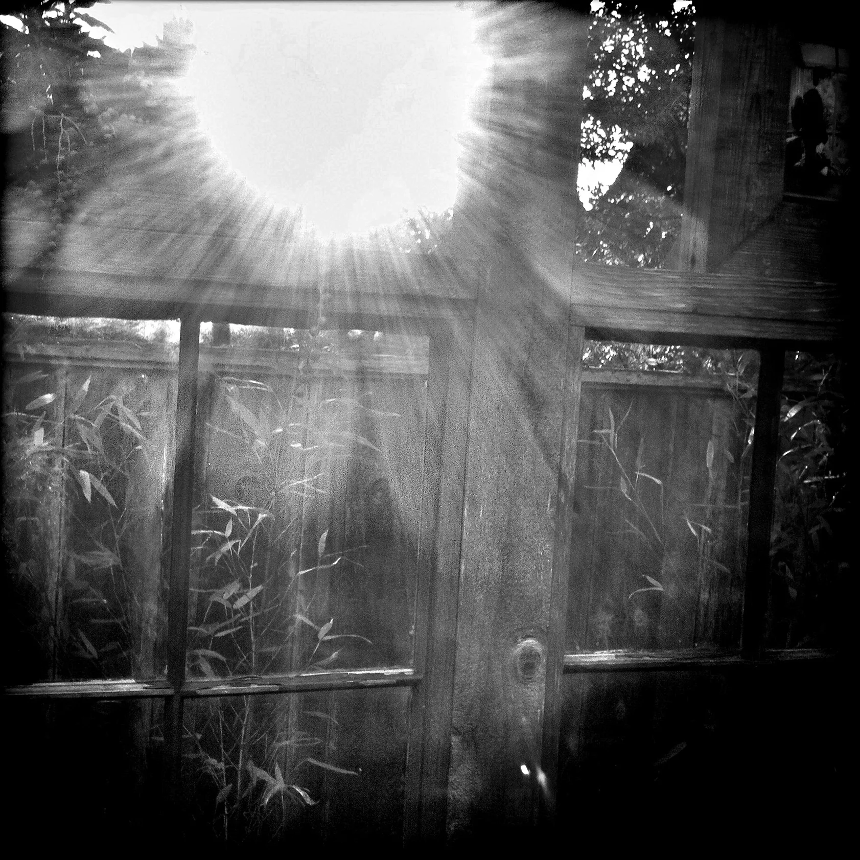 Be the Light, 2012