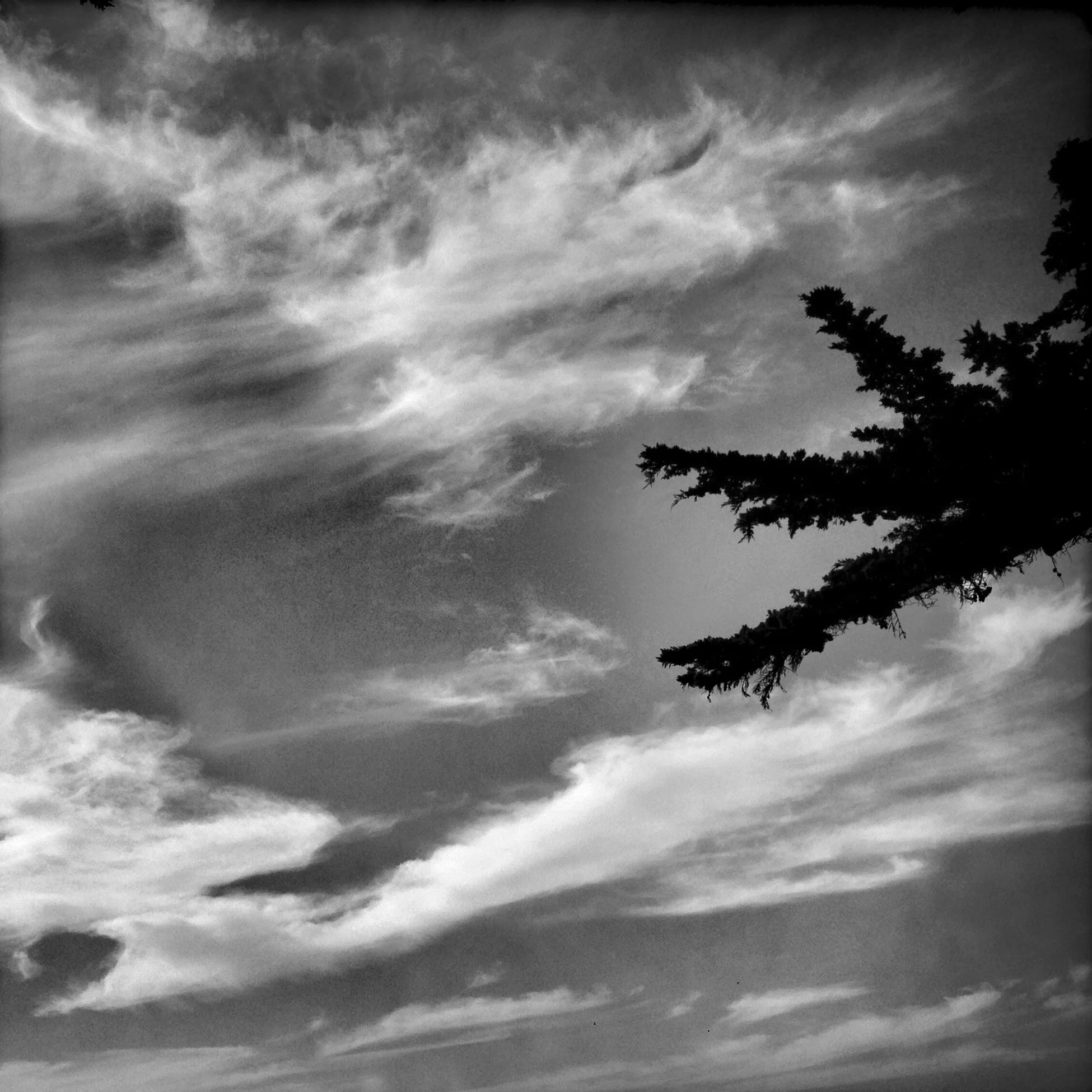 Touching Clouds, 2014