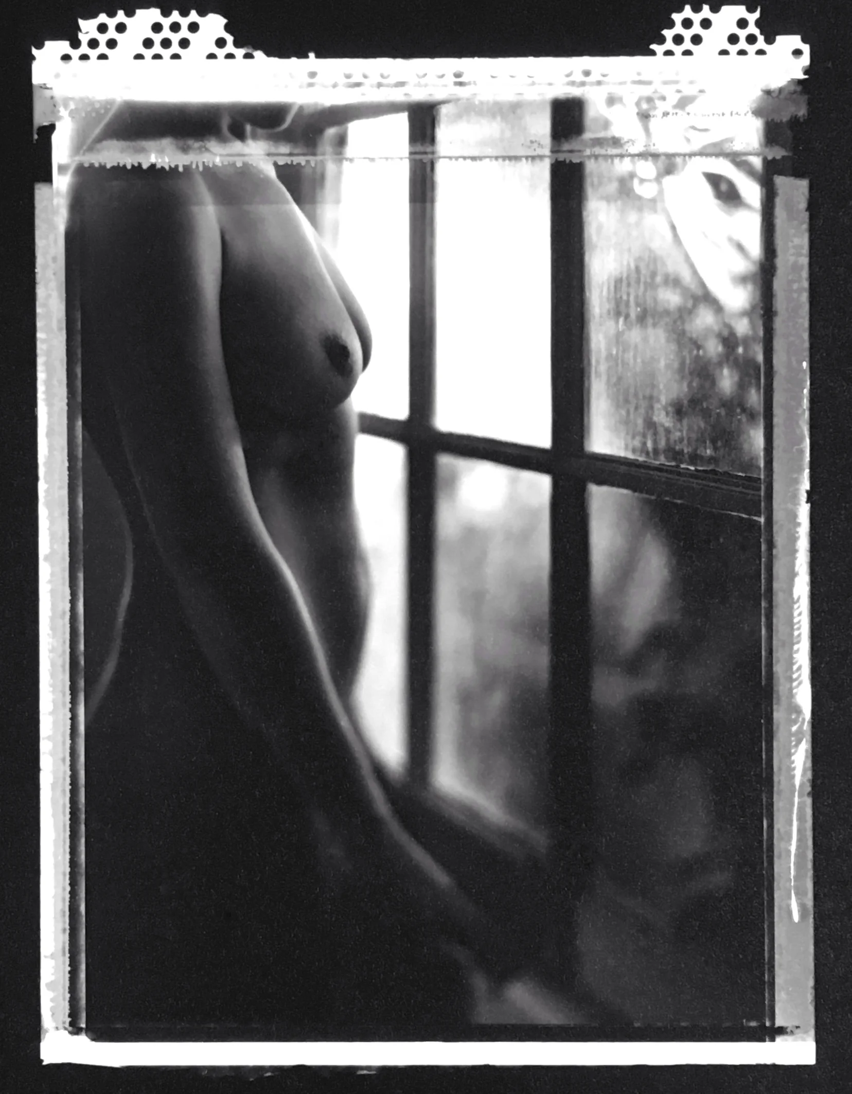 Rainy Day, 2007