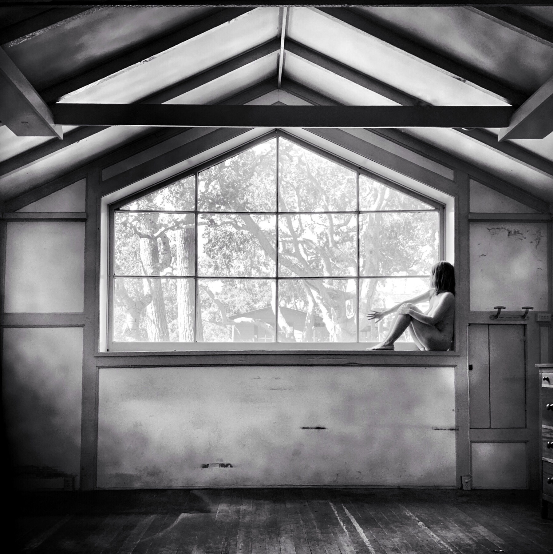 New Beginning, 2019