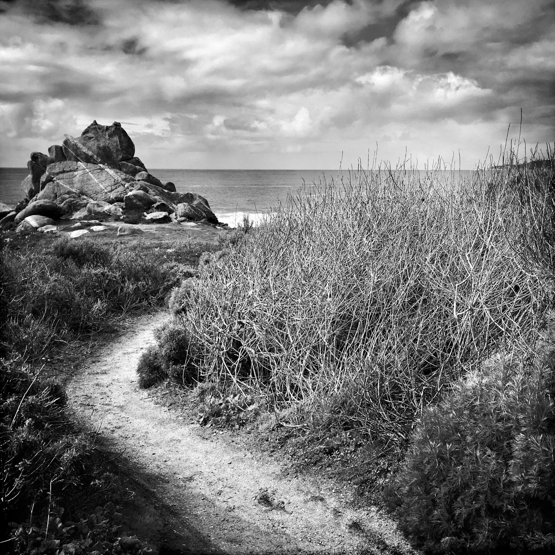 By the Sea, 2019