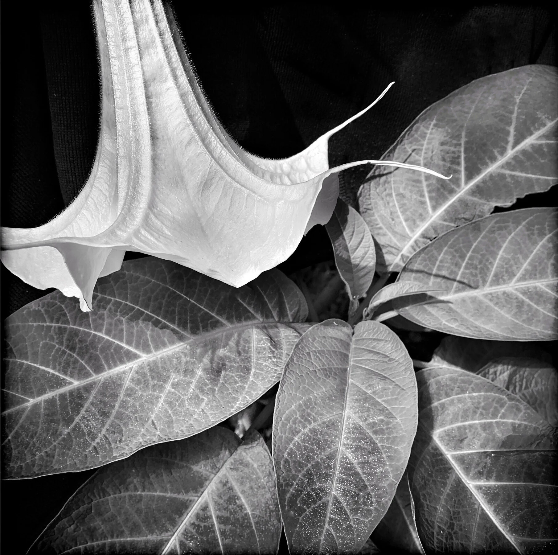 9D1DBAE3-8C88-4273-927C-1D2B7A38A0D6