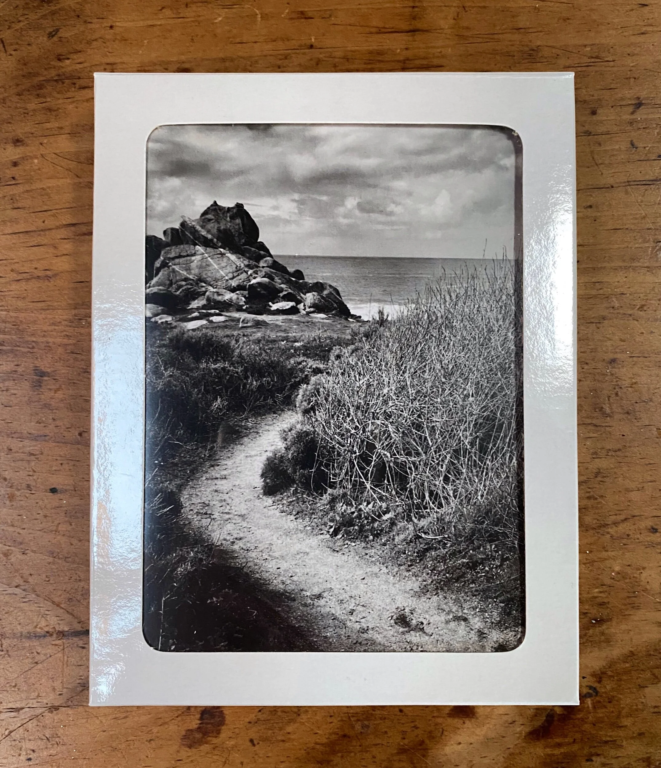 E17682F6-723C-42E4-9A17-2C581C6E29D6