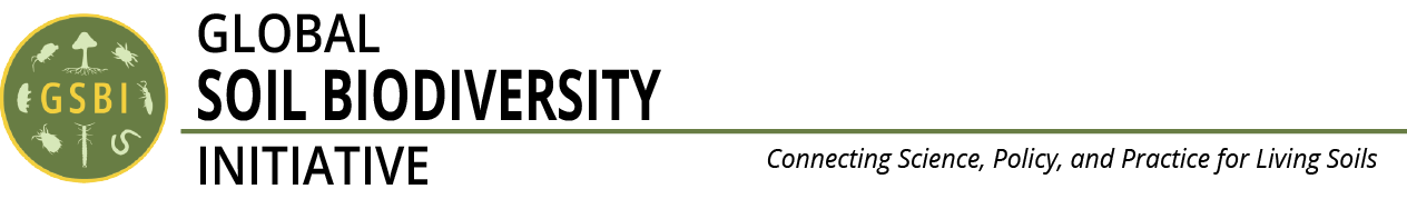 Global Soil Biodiversity Initiative