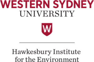 WSU-logo-300x200.png
