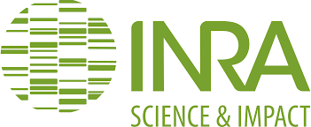 index.png