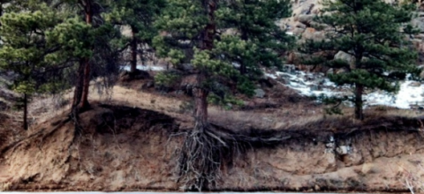Scratching the surface of soil microbial diversity 