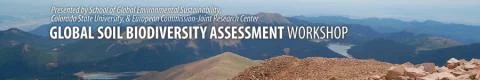 Assessing the state of soils 