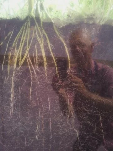 HW roots_0.jpg
