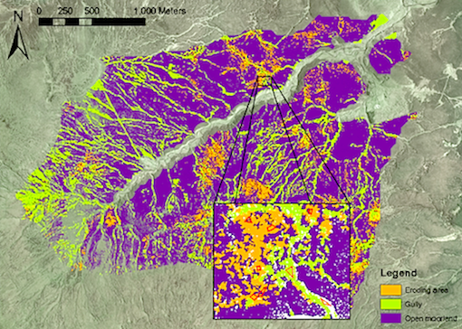 A map of peatland landforms from Whitfield's PhD. Each landform, easily identifiable from its plant cover, has a distinct microbial community.