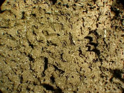 Left: Figure 1. Changes in soil structure are clearly visible after Folsomia spp. (Collembola) where kept within a mesocosm of defaunated sieved soil for three months.