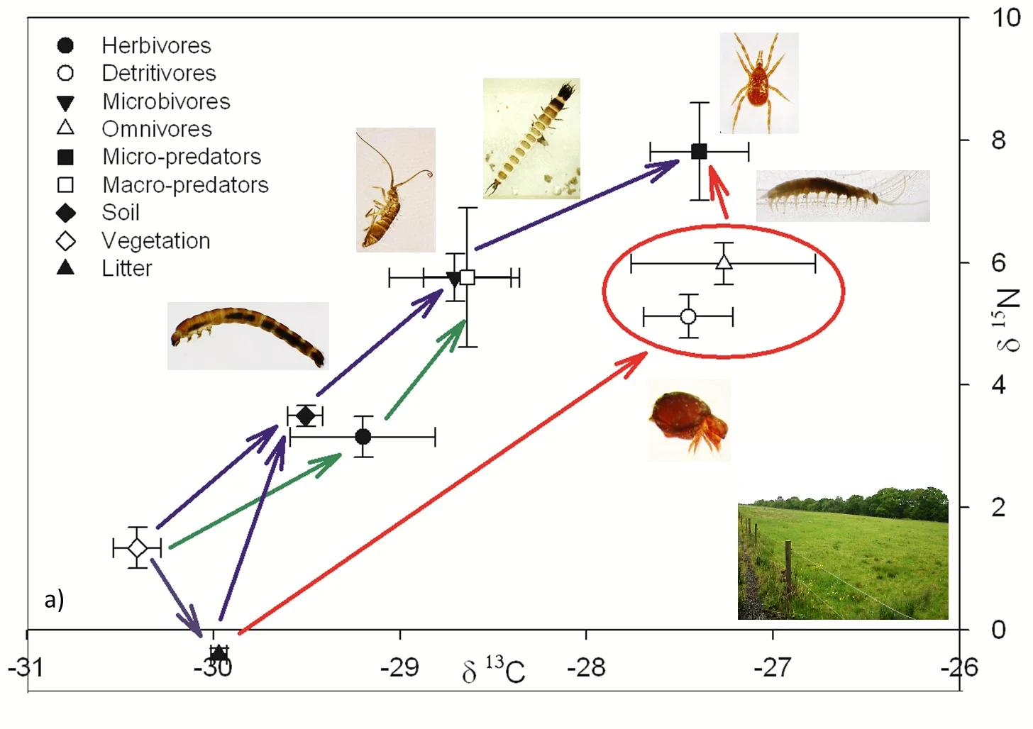 Figure 4a.