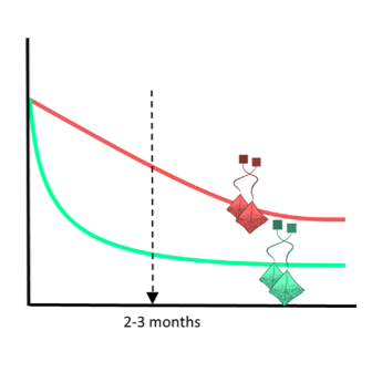 Litter mass loss over time of Rooibos and Green tea
