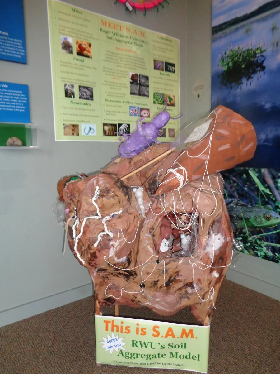 A soil aggregate model, constructed by the author’s students, was displayed in an environmental education center to spark conversation about soils. Photo courtesy of L. Byrne.