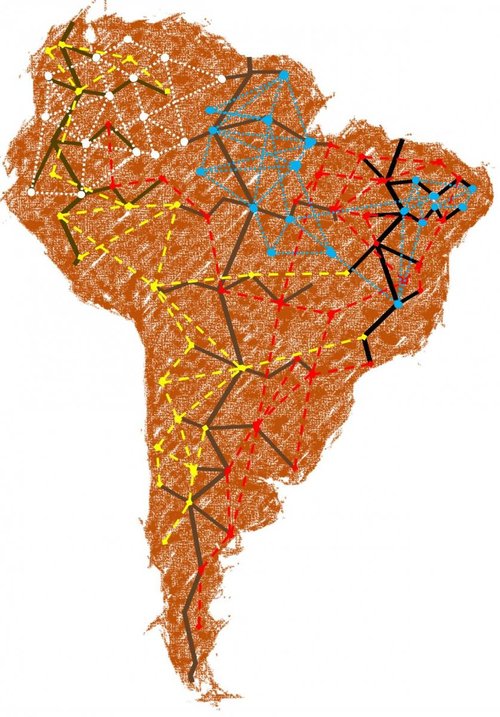 SouthMycorrh.jpeg