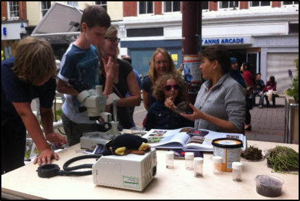 Scientists & visitors celebrate soil biodiversity at the European City of Science Festival, Manchester, UK. Photo credit A. Orgiazzi