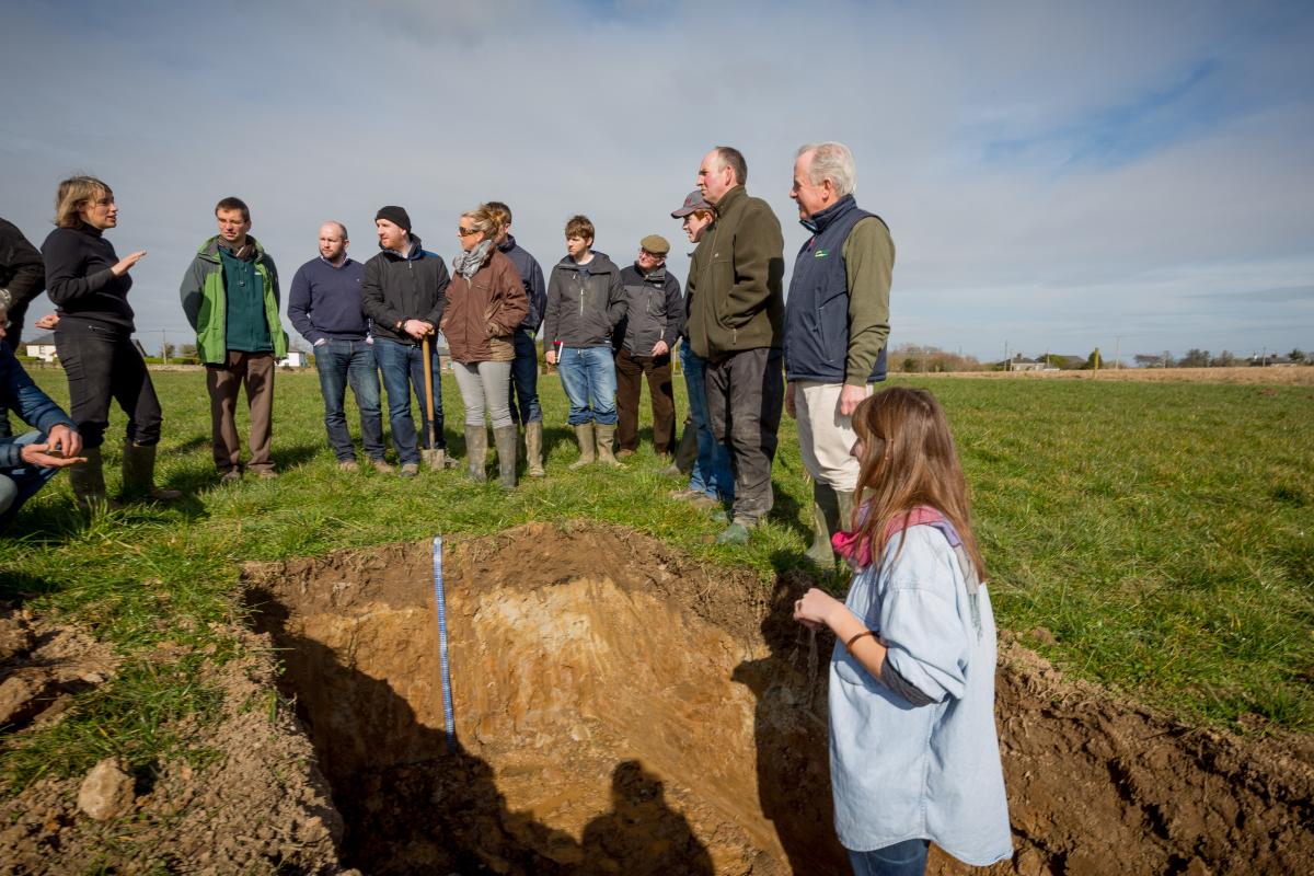 Farmers examine a soil profile