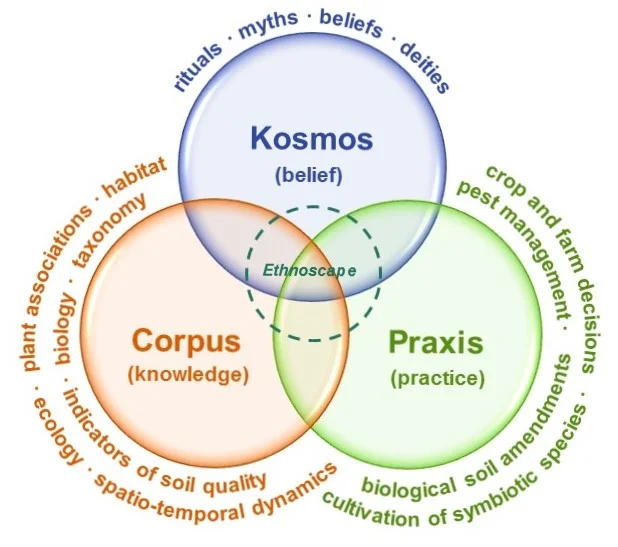 Categorisation of farmers’ knowledge of soil biota, based on the ‘knowledge-practice-belief’ complex in ethnoecology. From Pauli et al. 2016