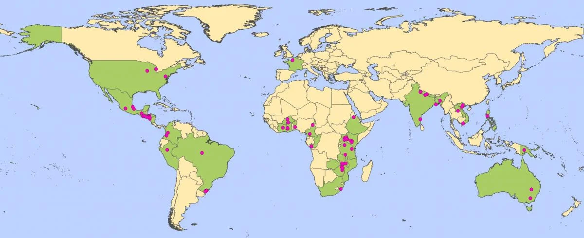Map of the location of 60 reviewed studies on farmer knowledge of soil biota. From Pauli et al. 2016