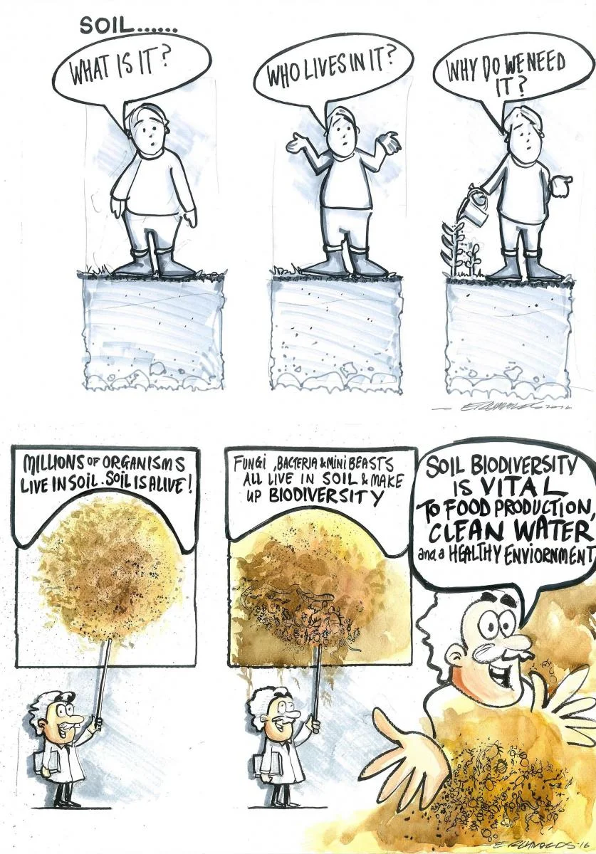 Soil biodiversity is vital to humans! Image by: Ed Reynolds
