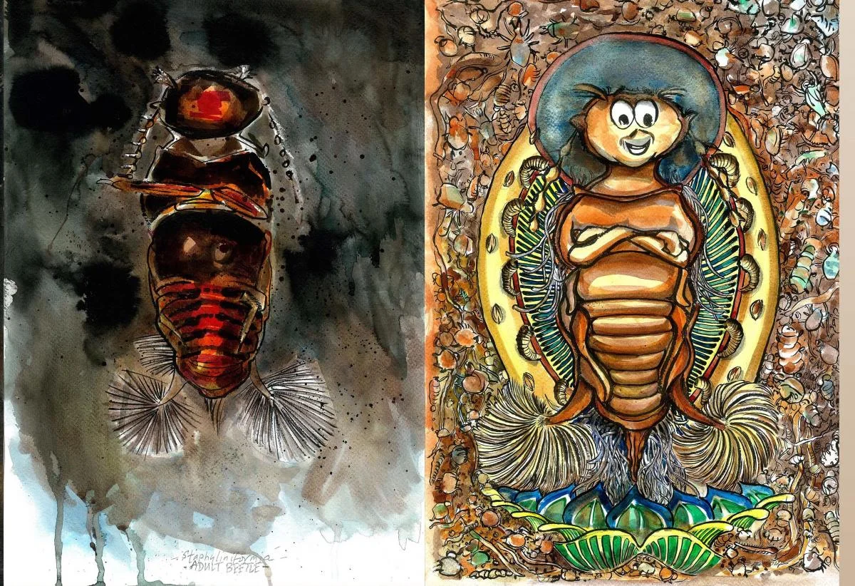 Transformation of beetle larvae. Image by: Ed Reynolds
