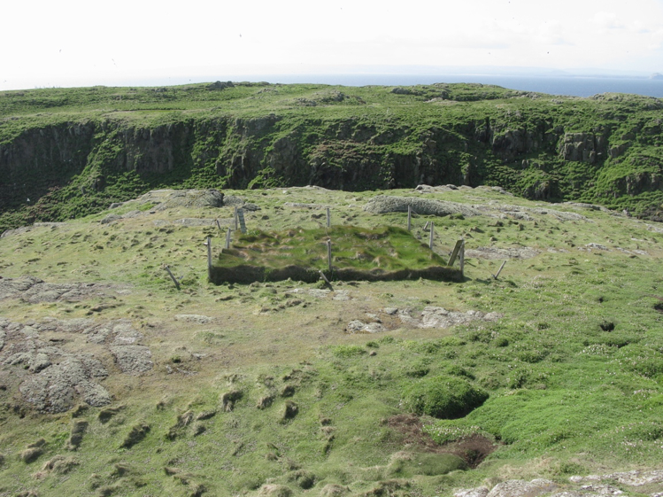 One of the exclosures on the Isle of May. Photo by: Walter Andriuzzi