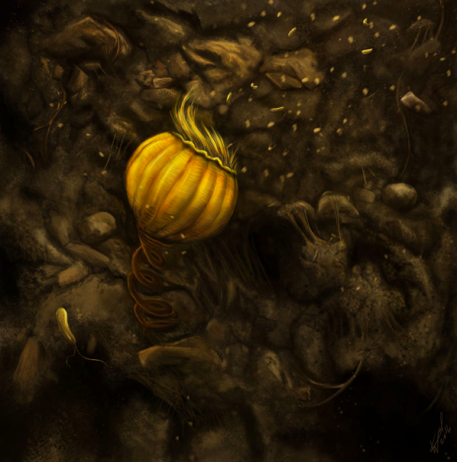 Vorticella. By Katelyn Weel