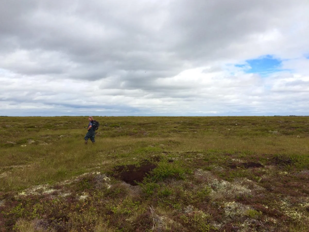 Becoming grounded on the Alaska tundra. Image from P. Bogard