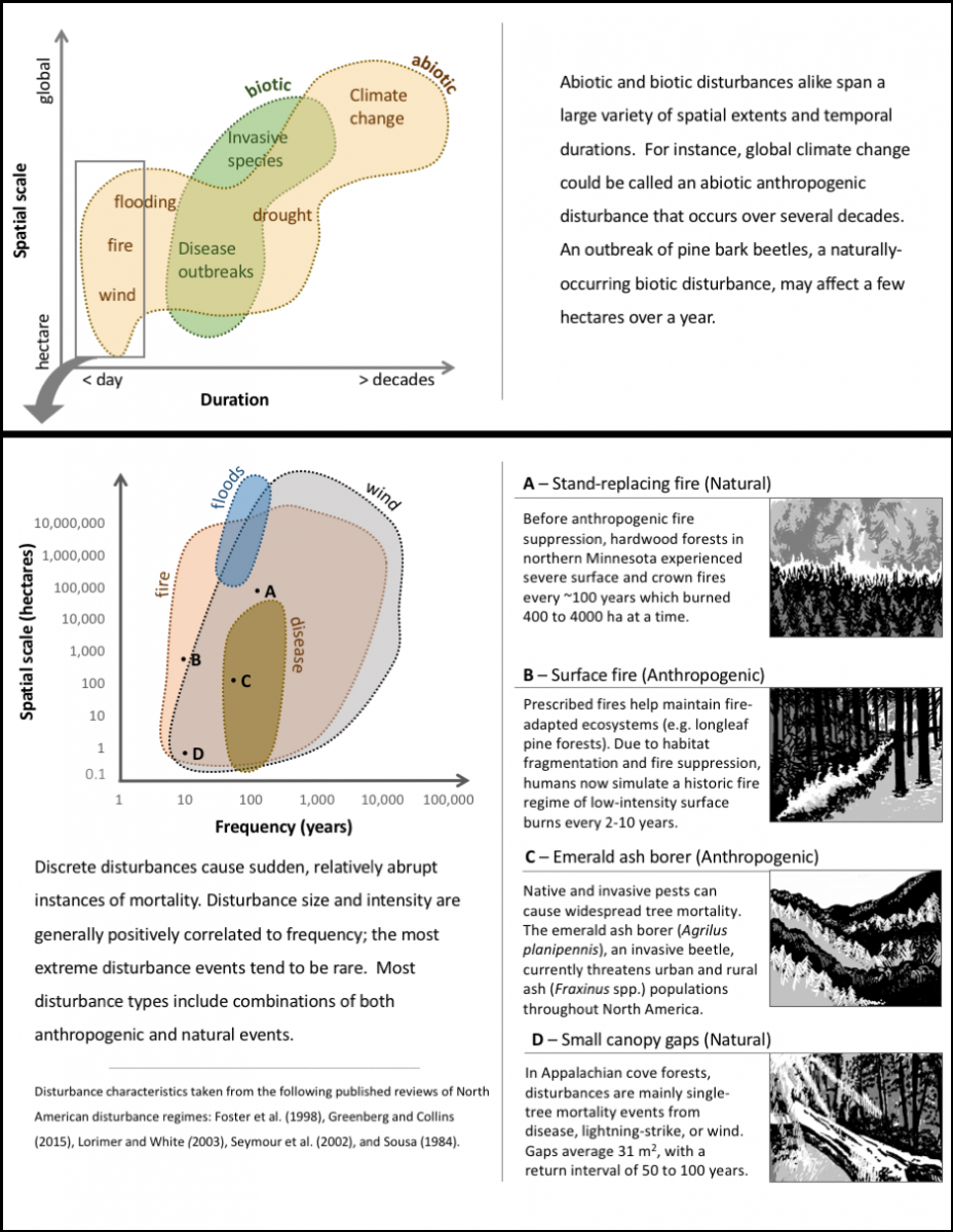 Types and scale of ecosystem disturbances. Modified from Coyle et al. 2017