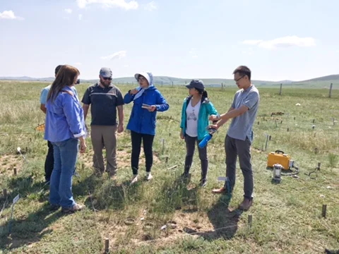 Collaborators discuss grassland soil carbon research near Hulanbuir, China. Photo credit Jiqiong Zhou