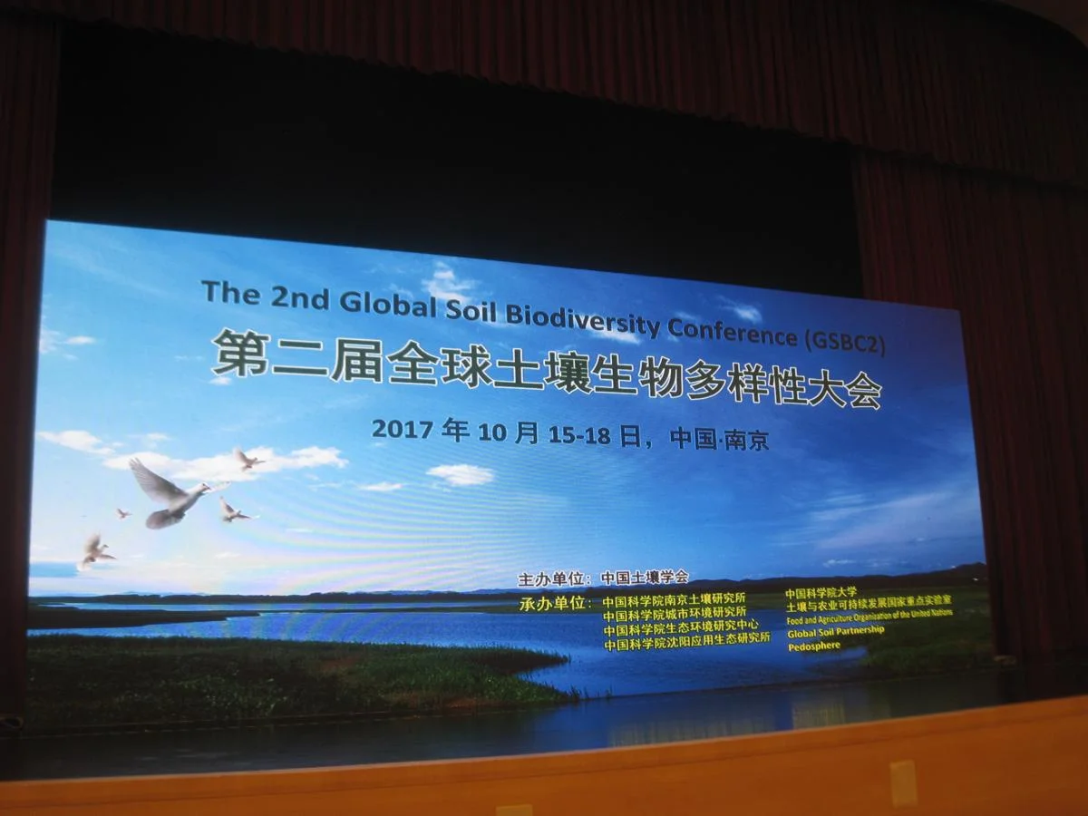 2nd Global Soil Biodiversity 