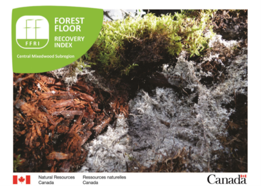 The Forest Floor Recovery Index Image by D.Hoffman