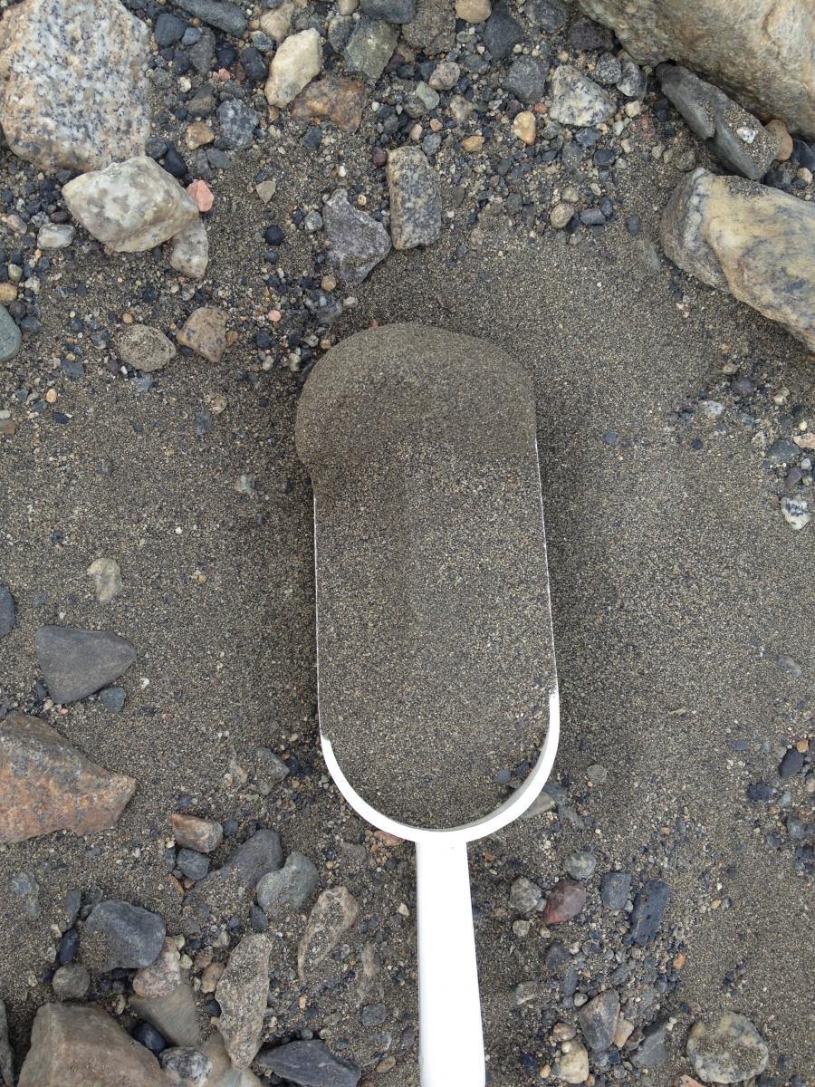Soil sample collected in Taylor Valley, Antarctica. Photo by A. Shaw