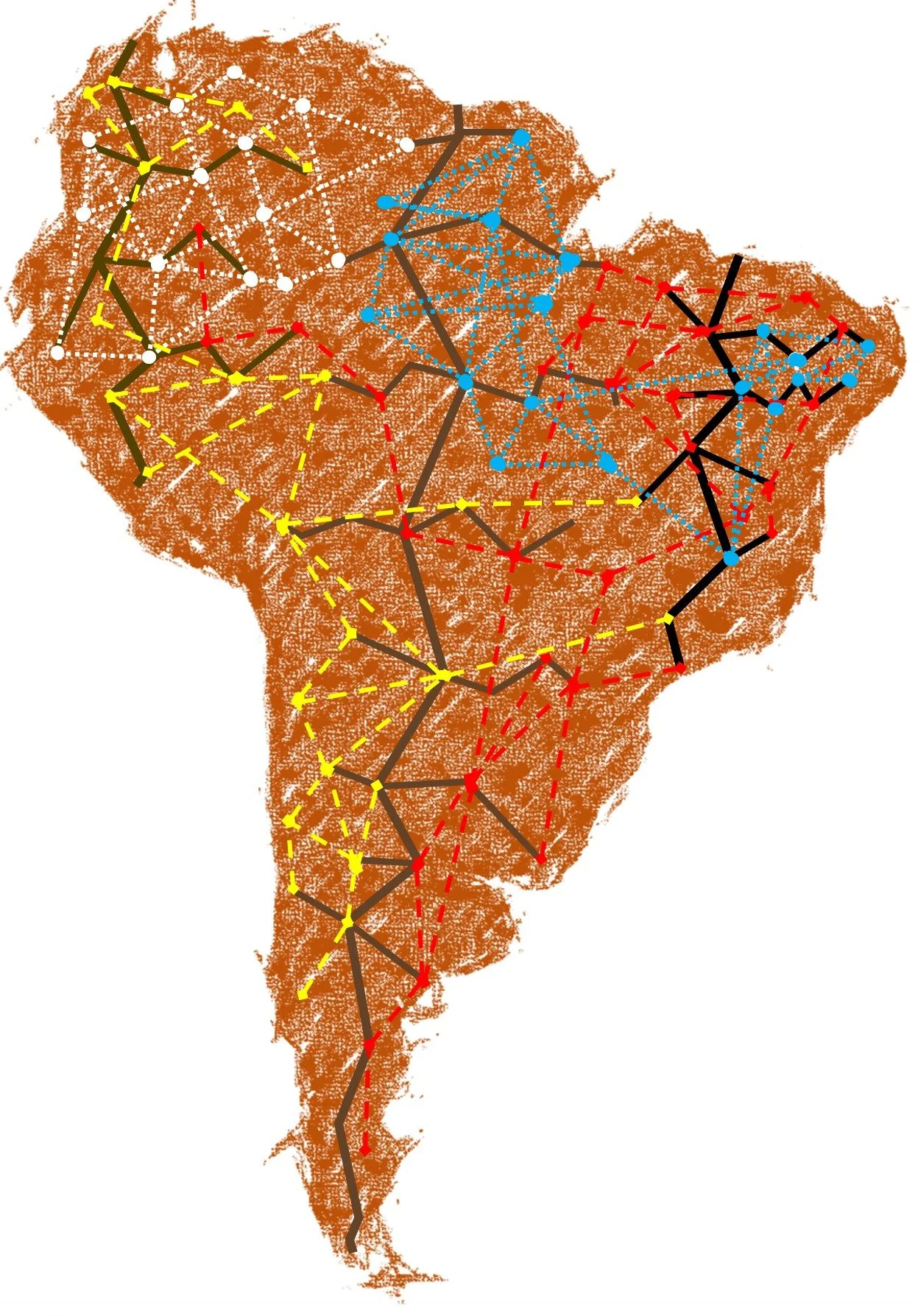 Logo of the South American Mycorrhizal Research Network.