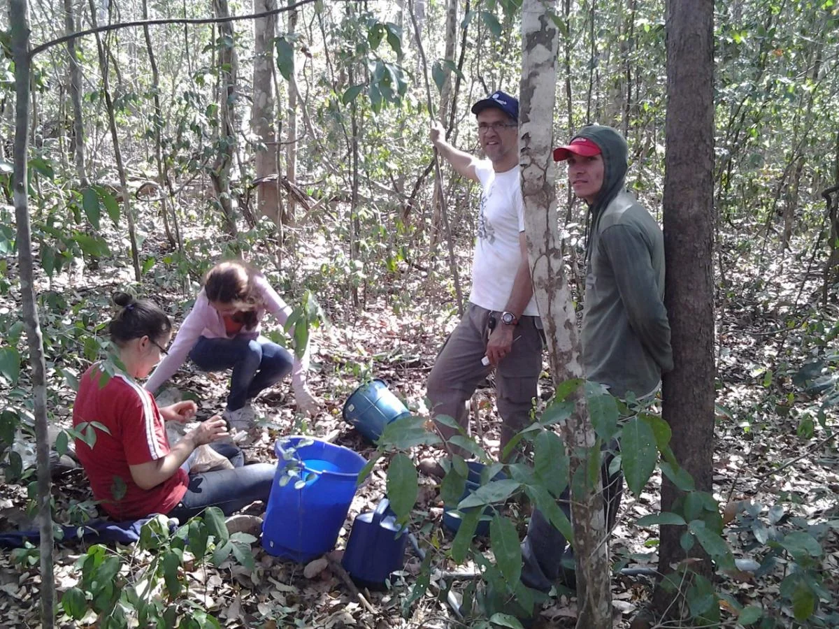 Sampling effort: Ademir (white shirt) and his team sampling in the Cerrado.