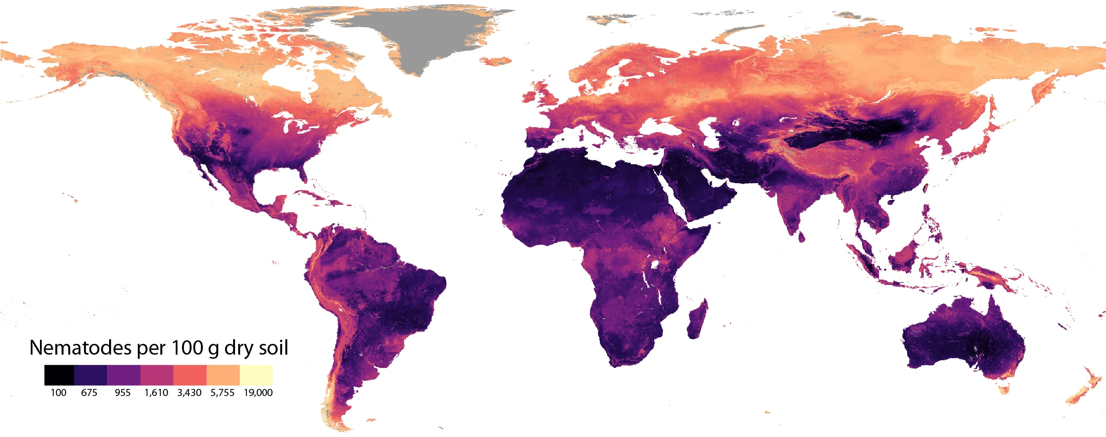 Global soil nematode abundance, in individuals per 100 gram dry soil