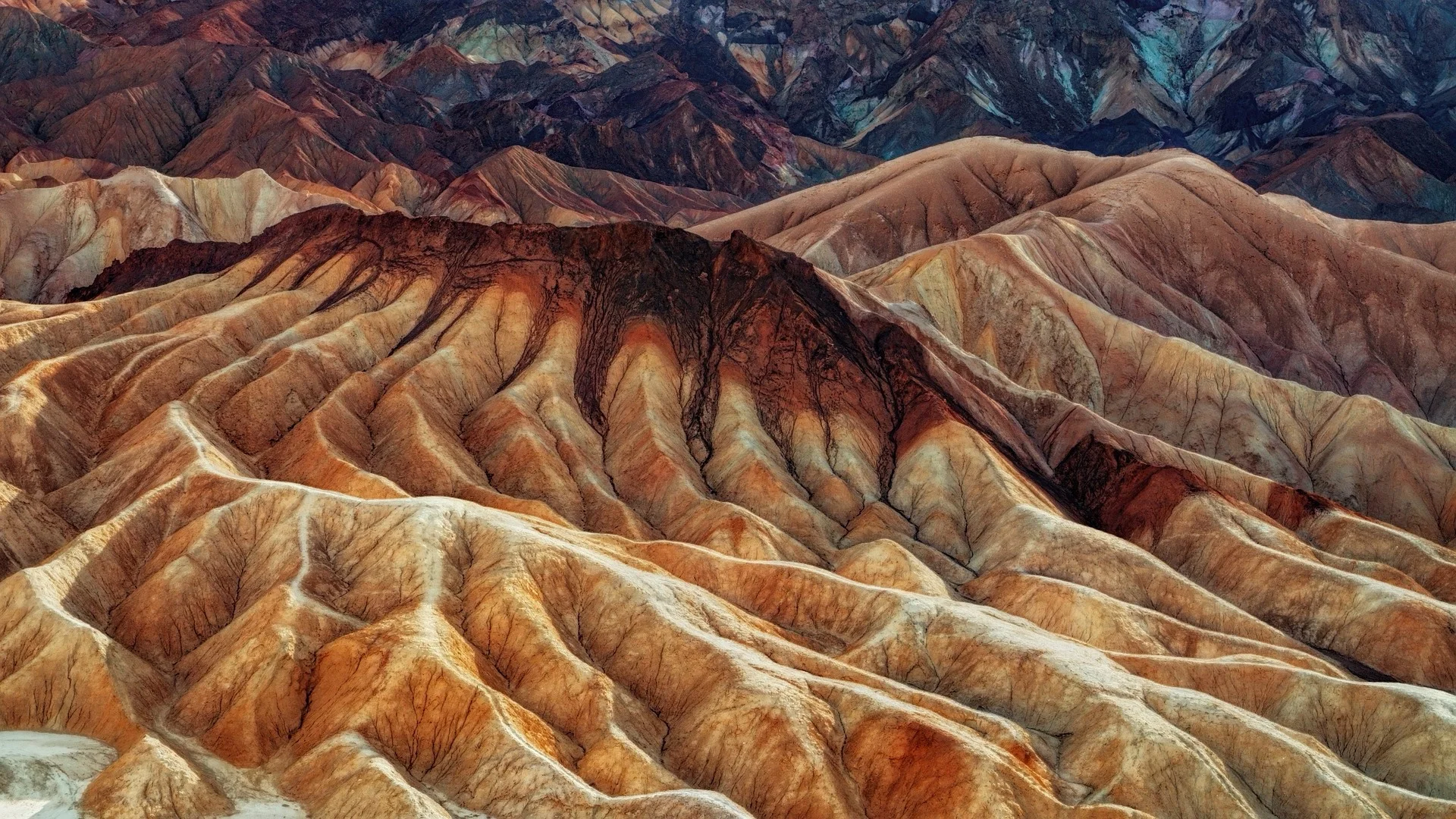 ...controls erosion