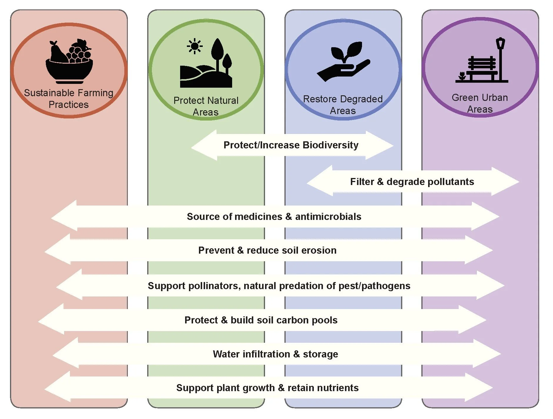 Soil biodiversity and a sustainable future
