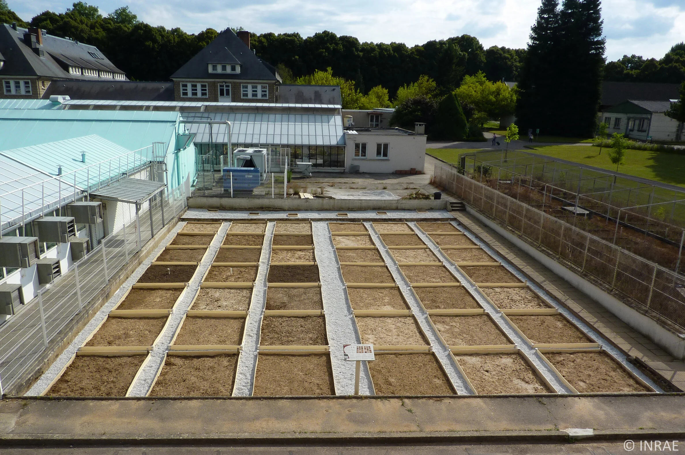 Pushing soil animals to the extreme