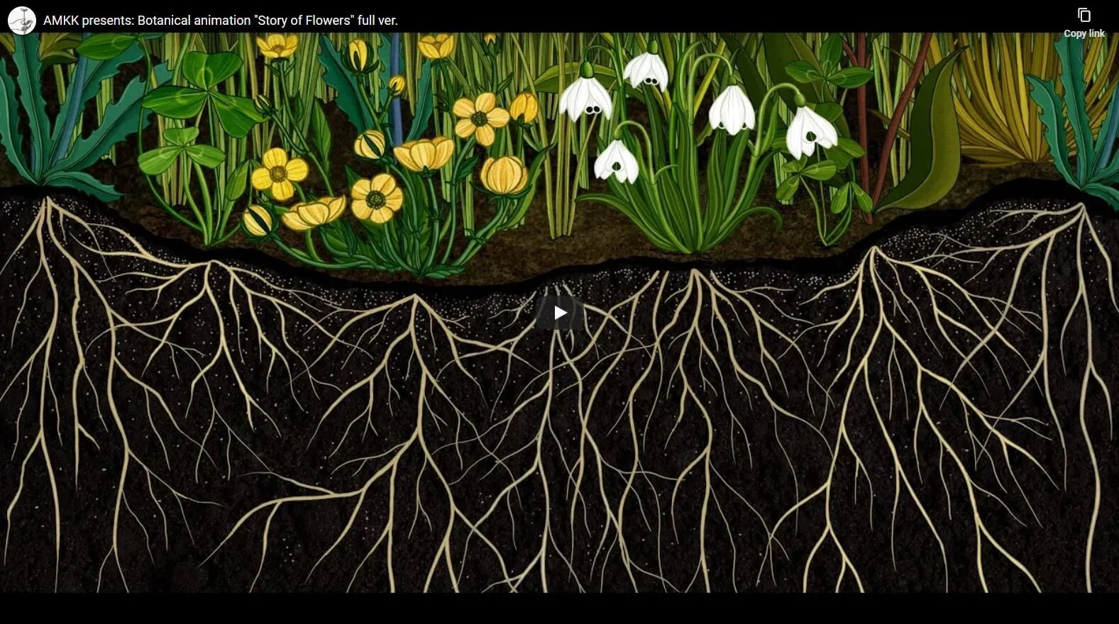 AMKK presents: Botanical animation "Story of Flowers" full version