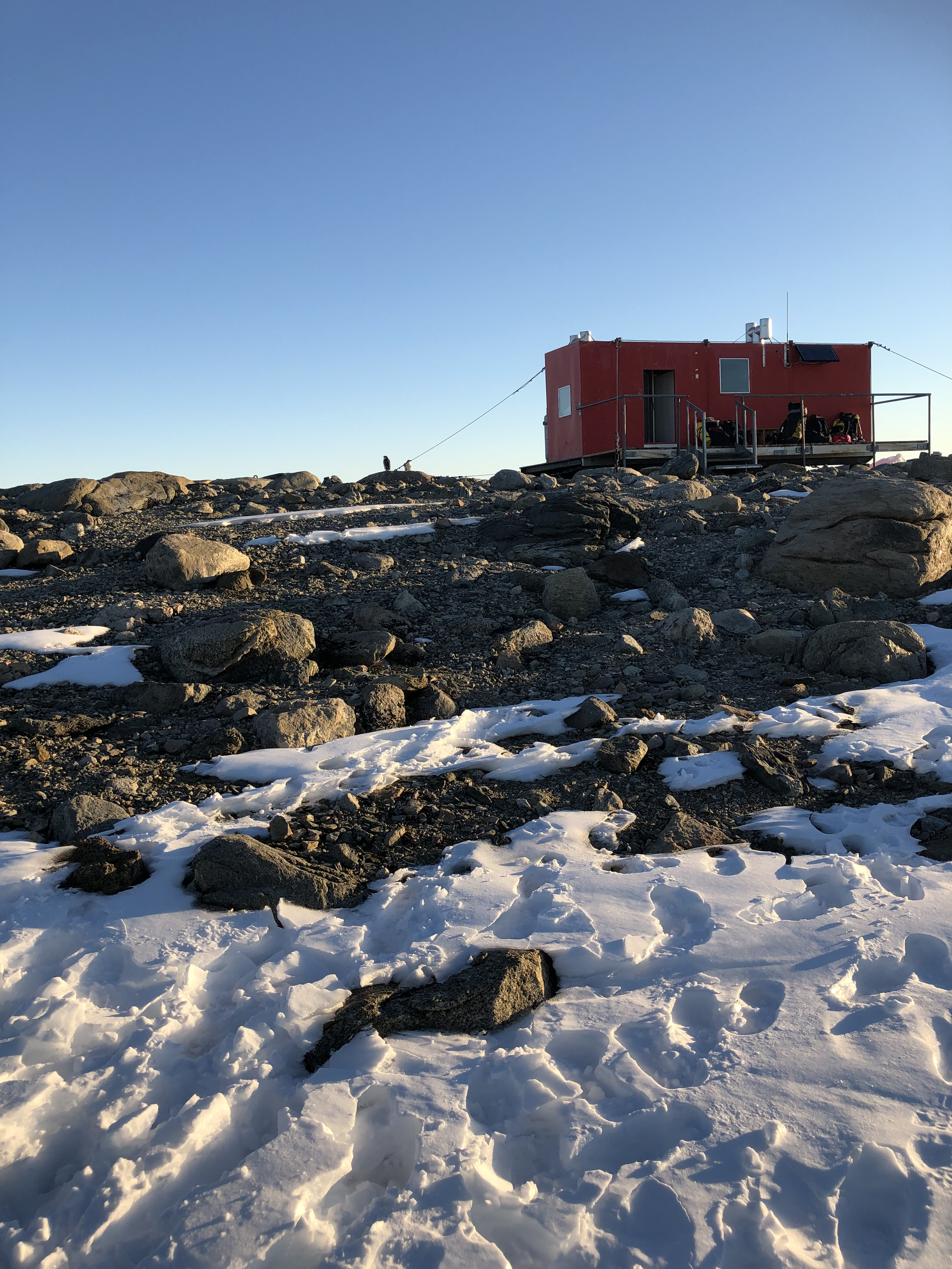 Is atmospheric chemosynthesis an overlooked microbial process in soil?