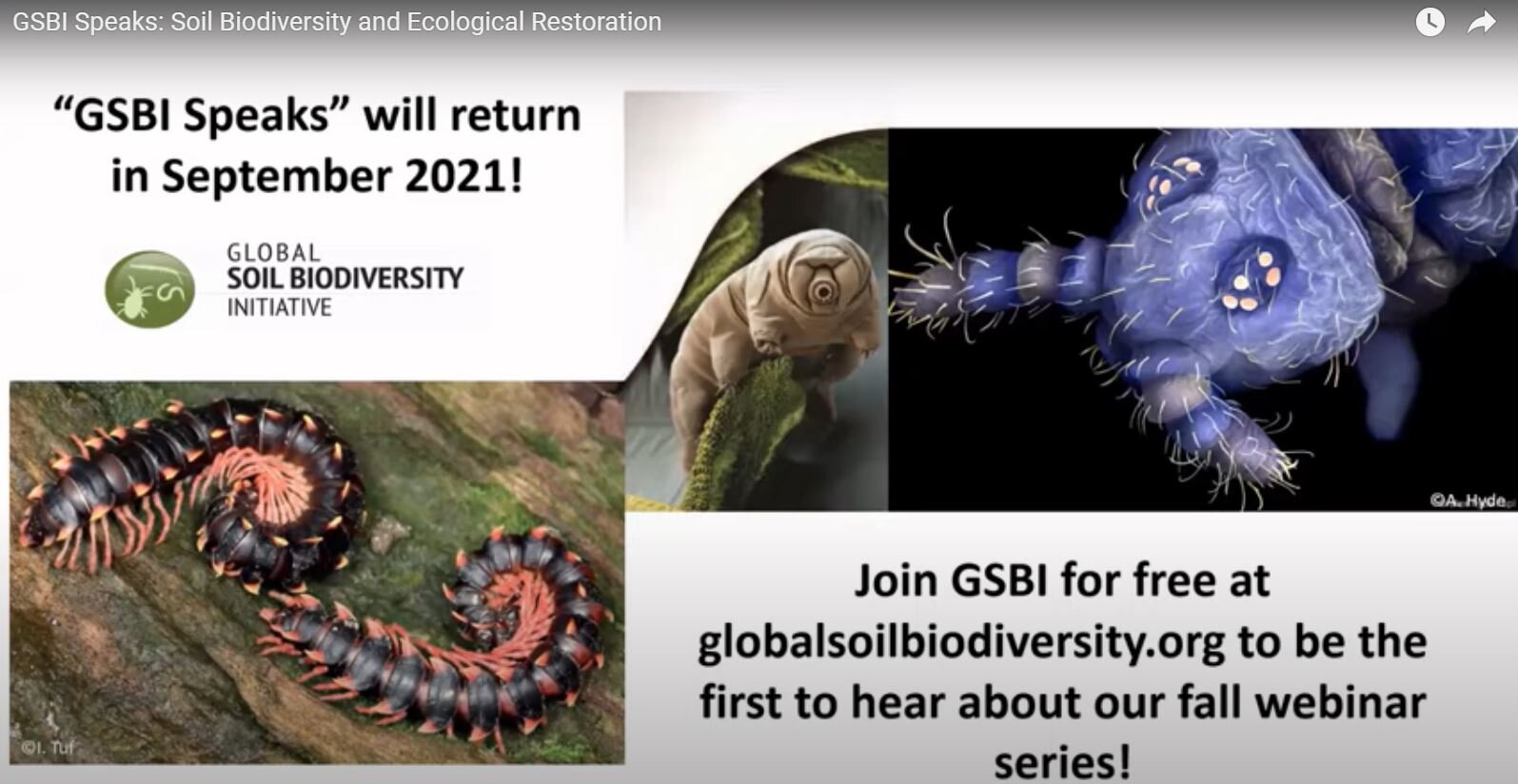 Soil Biodiversity and Ecological Restoration
