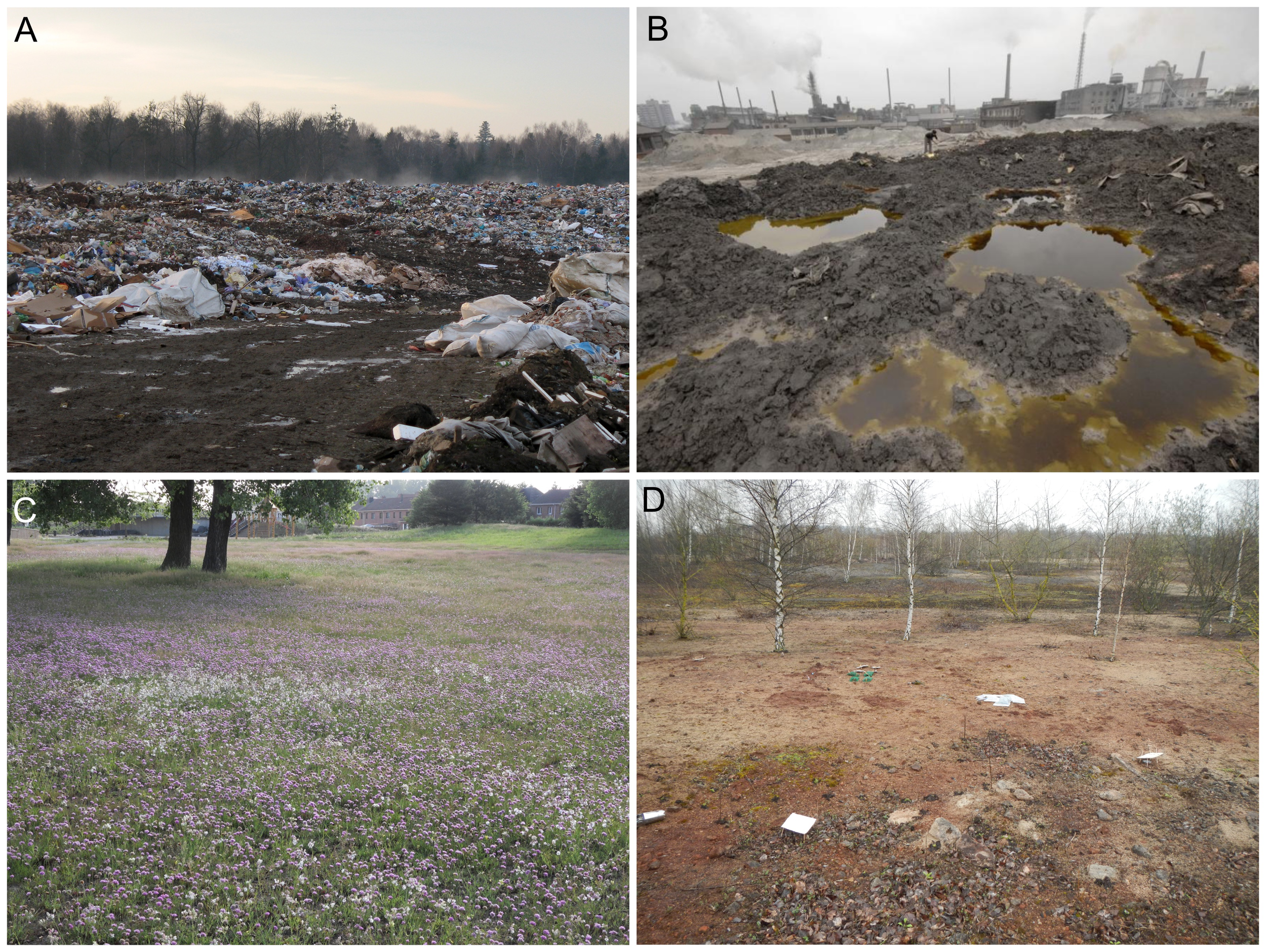 Figure 1. Soils can be visibly affected by human and industrial activities (A): dumping site in Ukraine, (B): industrial soil pollution in China), but pollution and contamination are often invisible, (C): site historically polluted with metals but hosting metal-tolerant, plant species and (D): site formerly affected by iron industry with a diversified vegetation. Photo credits: (A) Andy Shustykevych, Creative Commons Attribution-Share Alike 3.0 Unported license; (B) JungleNews, Creative Commons Attribution Share Alike 4.0 International License; (C) Guillaume Lemoine; (D) Apolline Auclerc (Beaumelle et al., 2021).